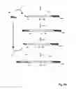 Fig. 04 - Methods and compositions for tagging and identifying polynucleotides
