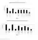 Fig. 04 - METHODS AND COMPOUNDS FOR THE TARGETED DELIVERY OF AGENTS TO BONE FOR INTERACTION THEREWITH