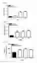 Fig. 06 - NEUROPROTECTIVE PROPERTIES OF 5'-METHYLTHIOADENOSINE