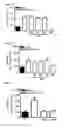 Fig. 07 - NEUROPROTECTIVE PROPERTIES OF 5'-METHYLTHIOADENOSINE