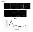 Fig. 09 - NEUROPROTECTIVE PROPERTIES OF 5'-METHYLTHIOADENOSINE