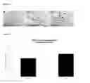 Fig. 12 - NEUROPROTECTIVE PROPERTIES OF 5'-METHYLTHIOADENOSINE