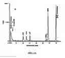 Fig. 04 - METHOD FOR BLOCKING LIGATION OF THE RECEPTOR FOR ADVANCED GLYCATION END-PRODUCTS (RAGE)