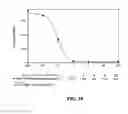 Fig. 20 - METHOD FOR BLOCKING LIGATION OF THE RECEPTOR FOR ADVANCED GLYCATION END-PRODUCTS (RAGE)