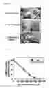 Fig. 02 - PHARMACEUTICAL COMPOSITION FOR PROMOTING THE HEALING OF WOUNDS AND CONTAINING LYSOPHOSPHATIDIC ACID AND AN ADENYLYL CYCLASE INHIBITOR AS ACTIVE INGREDIENTS