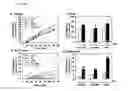 Fig. 06 - PHARMACEUTICAL COMPOSITION FOR PROMOTING THE HEALING OF WOUNDS AND CONTAINING LYSOPHOSPHATIDIC ACID AND AN ADENYLYL CYCLASE INHIBITOR AS ACTIVE INGREDIENTS