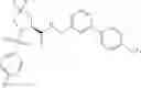 Fig. 205 - Heterocyclic amides as modulators of TRPA1