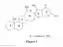 Fig. 02 - Cyclopamine lactam analogs and methods of use thereof