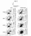 Fig. 07 - Small-molecule modulators of Trp-p8 activity