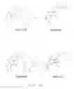 Fig. 22 - Modulators of Viral Transcription, and Methods and Compositions Therewith
