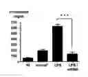 Fig. 02 - Methods For Diagnosing And Treating A Renal Disease In An Individual