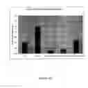 Fig. 11 - MODULATION OF INFLAMMATORY RESPONSES BY FACTOR XI