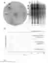 Fig. 02 - Anticancer agents