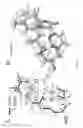 Fig. 06 - Anticancer agents