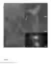 Fig. 09 - Anticancer agents
