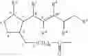 Fig. 19 - USE OF JASMONATE ESTER DERIVATIVES FOR TREATING BENIGN HYPERPROLIFERATIVE SKIN DISORDERS