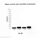 Fig. 07 - Method for removing undifferentiated and dedifferentiated stem cell