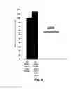 Fig. 08 - Method for removing undifferentiated and dedifferentiated stem cell