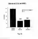 Fig. 11 - Method for removing undifferentiated and dedifferentiated stem cell