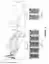 Fig. 04 - Benzotriazole containing donor-acceptor type polymer as a multi-purpose material