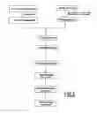 Fig. 03 - Dengue serotype 1 attenuated strain