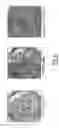 Fig. 05 - Dengue serotype 2 attenuated strain