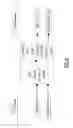 Fig. 07 - Dengue serotype 2 attenuated strain