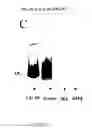 Fig. 07 - Nucleic acids encoding biologically active polypeptides derived from a novel early stage pregnancy factor designated maternin (MA)