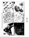 Fig. 24 - Nucleic acids encoding biologically active polypeptides derived from a novel early stage pregnancy factor designated maternin (MA)