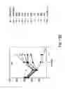 Fig. 49 - Nucleic acids encoding biologically active polypeptides derived from a novel early stage pregnancy factor designated maternin (MA)