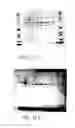 Fig. 58 - Nucleic acids encoding biologically active polypeptides derived from a novel early stage pregnancy factor designated maternin (MA)