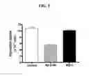 Fig. 04 - Antibody Modulating The Differentiation And Function Of Dendritic Cells Via Binding Intercellular Adhesion Molecule-1 And Use Thereof