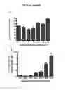 Fig. 07 - Antibody Modulating The Differentiation And Function Of Dendritic Cells Via Binding Intercellular Adhesion Molecule-1 And Use Thereof