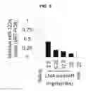 Fig. 07 - Pharmaceutical Composition