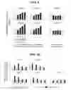 Fig. 09 - Pharmaceutical Composition