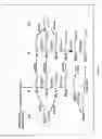 Fig. 02 - Synthesis of long-chain polyunsaturated fatty acids by recombinant cells