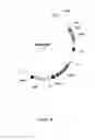Fig. 09 - Synthesis of long-chain polyunsaturated fatty acids by recombinant cells