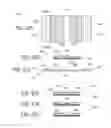 Fig. 49 - Segmented skin treatment systems and methods