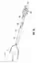 Fig. 04 - SPECIMEN RETRIEVAL DEVICE