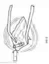 Fig. 07 - Implanting facet joint screws percutaneously
