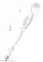 Fig. 07 - Method of inserting surgical implant with guiding rail