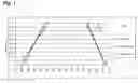 Fig. 02 - System and method for efficient modeling of NPskew effects on static timing tests