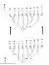 Fig. 06 - Building and contracting a linguistic dictionary