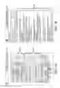 Fig. 08 - Integration of embedded and network speech recognizers