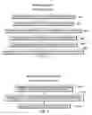 Fig. 07 - Providing answers to questions including assembling answers from multiple document segments
