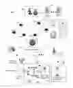 Fig. 01 - Apparatus and method for managing mobile device servers