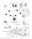 Fig. 02 - Apparatus and method for managing mobile device servers