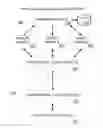 Fig. 01 - Generation and retrieval of report information