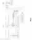 Fig. 09 - Shared memory between child and parent partitions