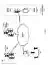 Fig. 02 - Systems and methods for generating sitelets using information assets